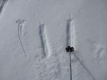 Shallow soft corn snow on a supportable crust by 11 am on sunny slopes