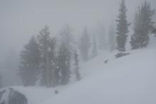 Windy and snowing several inches an hour. 