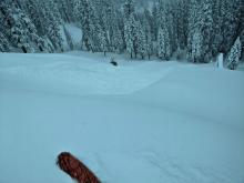 More views of the avalanche.