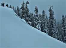 Ski kick triggered avalanche on a NE-ENE aspect at 7850 ft