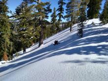 Snowpit neat Webber Lake