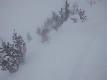 Doing snowpit tests in the crown of yesterday's avalanche.