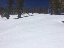 Rapidly warming and deteriorating, but still supportable conditions before 11am.