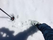 Mostly supportable conditions on SE aspects before 10am.