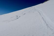 Small loose wet slide on steepest part of a slope. 