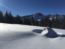 Widespread surface hoar and graupel.