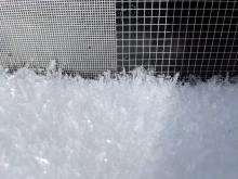 Surface hoar along ridgeline in Deep Creek