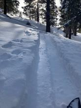 Following a skin track someone made yesterday there was only a trace of new snow below in the trees.