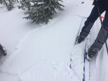 Ski kick triggered cracking along the east ridge of Tamarack Peak. These wind slabs remained shallow and only extended a few feet down slope. this was the largest one we saw.