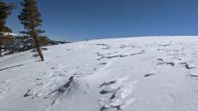 Previously wind affected snow surfaces.