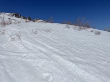 Brush and rocks exposed on solar aspects.