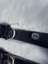 Melt freeze crust @ 8000' on westerly aspect.