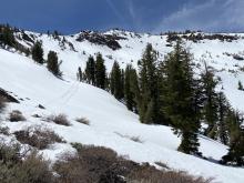 Widespread roller ball and point release activity in NE bowl 