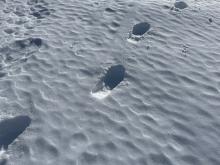 Punchy crusts along the way.