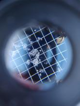 Dec 9 facets rounding