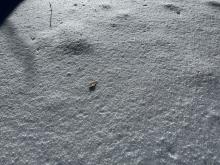 Graupel in a couple of spots