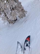 No cracking and minimal ski penetration on this wind loaded test slope