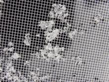 Surface Faceted Crystals