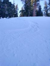 Surface facets providing for soft turns with minor loose dry sluffing.