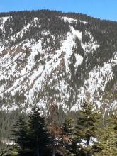 South facing coverage in lower Blackwood Canyon.