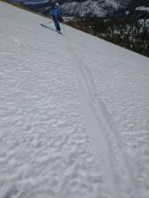 One inch plus of surface wet snow at midday on ESE (115 deg) aspect terrain. This was present even with a light to moderate speed NE wind.