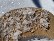 Well preserved surface hoar intact in isolated areas. 