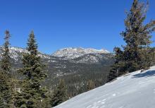 Shallow snow on south aspects of Freel Peak.