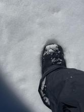 2-3" of boot pen @ 8500' @ 1330.