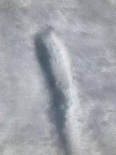 4 cm boot penetration on a flat aspect next to Fourth of July Lake