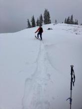 Wind drifted snow up to 1' deep on SW side of ridge from strong NE winds this morning.