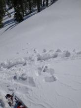 SE aspect wet snow at about 7,400'.