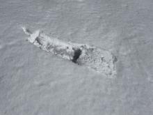 Wet cohesive surface snow before noon on most aspects below tree line.