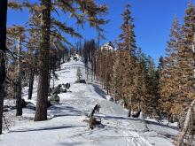 Wind scoured ridgeline up to the summit.