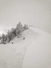 Small natural cornice collapses along W side of summit ridge.