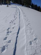 Ridgetop skin track refill after about 1 hr.