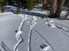 Minor skier triggered pinwheels on NE aspect terrain.