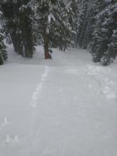 Intentionally triggered wet loose avalanche, size D1. Stanford Rock, NE aspect at 8,400'.