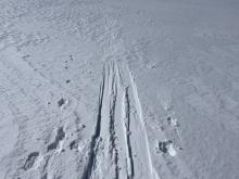 Variable conditions of wind scoured and powder surfaces.