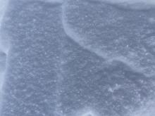 Graupel and preserved stellars about 35cms down.