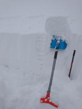 ECTN at the noted lat/long, a NW aspect, near treeline, at 8,800'. 70 cm of recent storm snow above the melt-freeze crust. HS 300cm