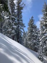 Occasional glimpses of blue sky. 