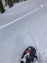 Impressive propagation on the this obvious wind loaded slope on the summit ridge.