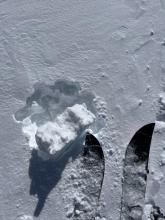 Mitpit 20cm Q1 wind slab 