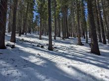 Thinning snowcover at the trailhead that improves above 7,200'.