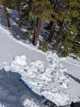 Rollerballs and pinwheels in NNE aspect terrain around 8,100'.