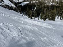 Small debris pile from ski cut wind slab.