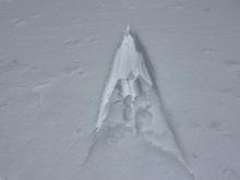 Wet loose surface snow on solar aspects later in the day.