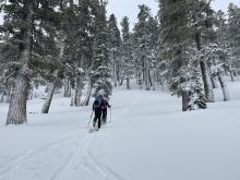 Soft powdery conditions from the trailhead @ 7700'.