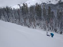 Crown line profile showing no results on wind slab avalanche activity from yesterday.