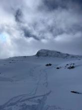 Tracks off the NE side of Elephant's Back